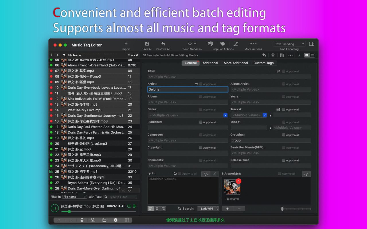 Convenient and efficient batch editing, Supports almost all music and tag formats